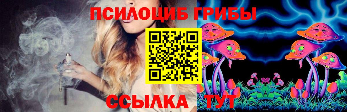 Галлюциногенные грибы Psilocybe Бирск