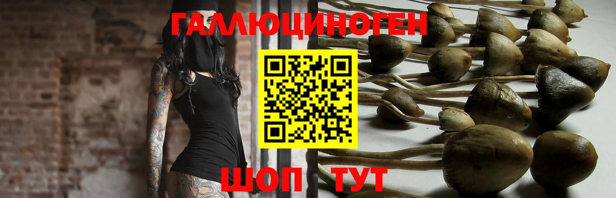 Галлюциногенные грибы GOLDEN TEACHER  Вход с VPN  Бирск  Галлюциногенные грибы Cubensis 